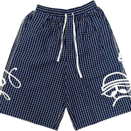 LAB Plaid (Blue)
