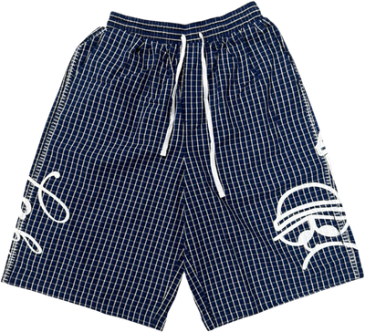 LAB Plaid (Blue)